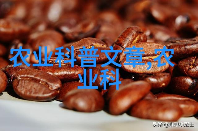 果园新品-邻里香甜附近高品质果树苗的选择