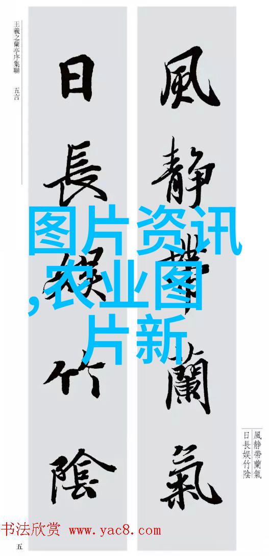 树冠之下楸树的沉默贵族与市井小贩的热销商品
