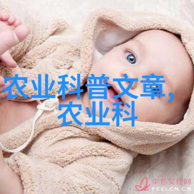 如何正确进行家庭花卉盆栽维护
