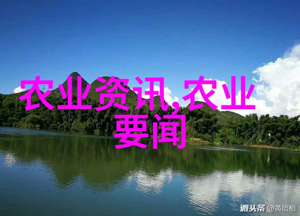 深入解析中级社会工作法规与政策保障社会服务质量的法律基石
