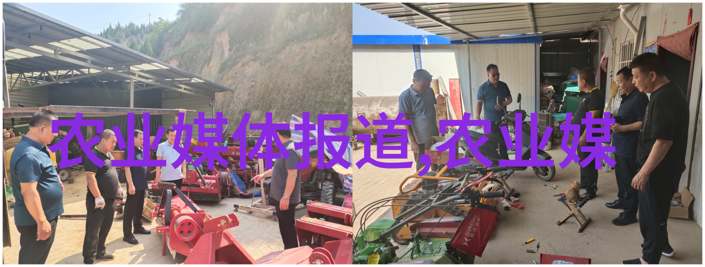 温室育苗种植蔬菜大棚是否有利于创业