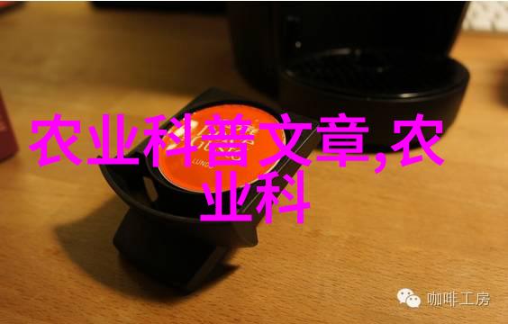 蔬菜种植冬季我是怎么在冰冷的冬日里也能有新鲜蔬菜吃的