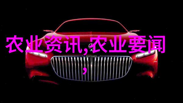 蒜苔价格走势市场动态与消费指南