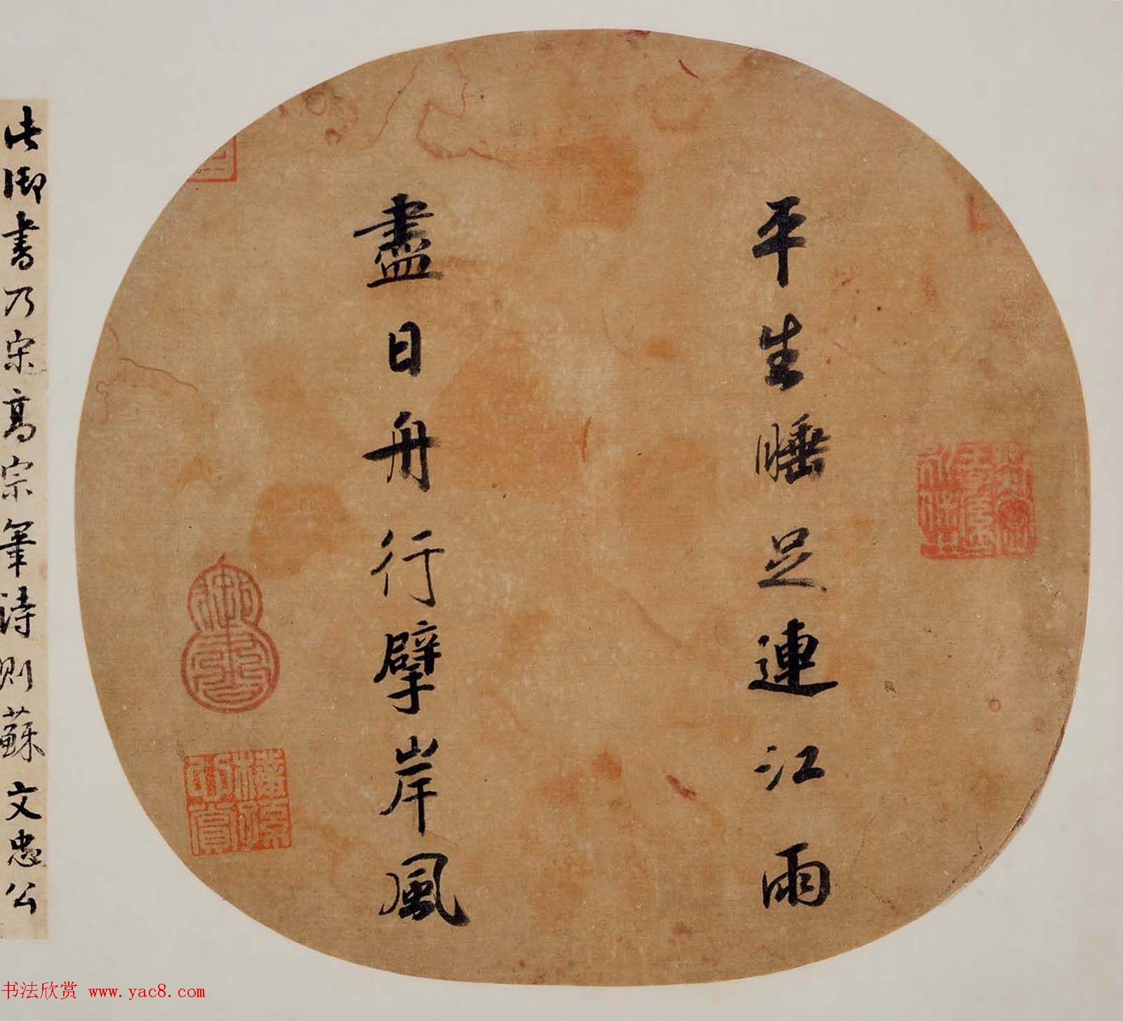 海参养殖技术-深度探究精准育种与高效管理的新时代