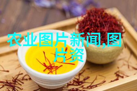水产养殖业的发展与挑战从种苗繁育到市场营销的全过程探究