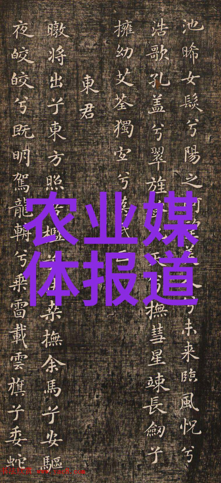 土壤研究所