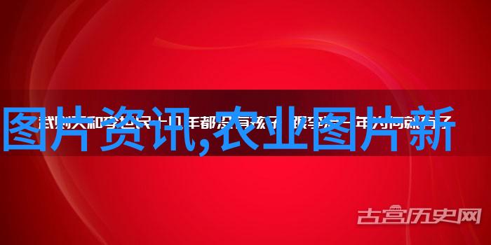 在实施规模化生产时应考虑哪些经济效益问题呢