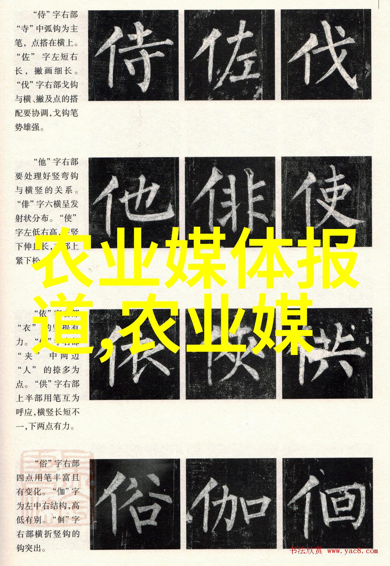 大数据技术就业方向我眼中的那些热门职位如何在大数据浪潮中找到自己的位置