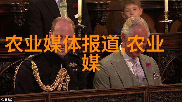 绿色生态农业网种植蔬菜的未来趋势与实践技巧