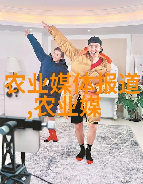 镜头下的奇迹记录野生金线莲的成长与变迁