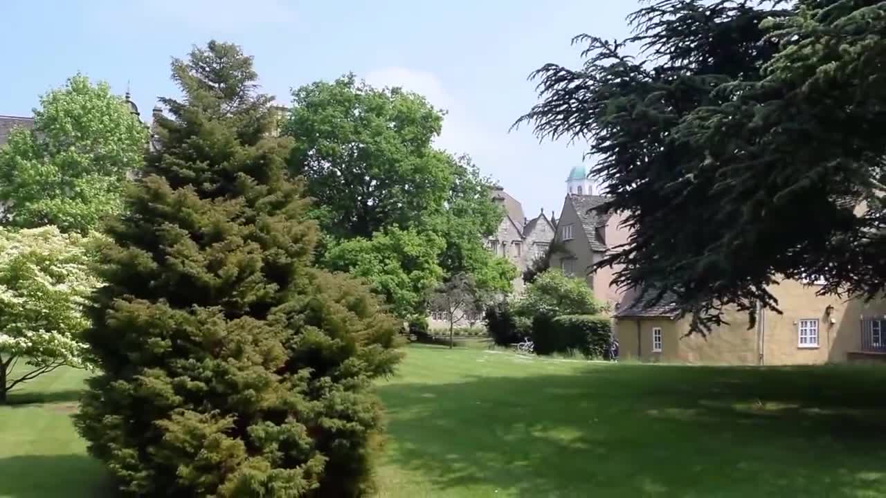 香气四溢的小黄瓜带您走进香菜家族的秘密基地