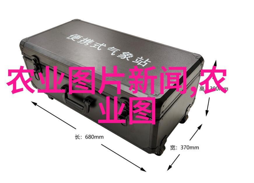 主题我近处发现了卖养蜜蜂用具的店