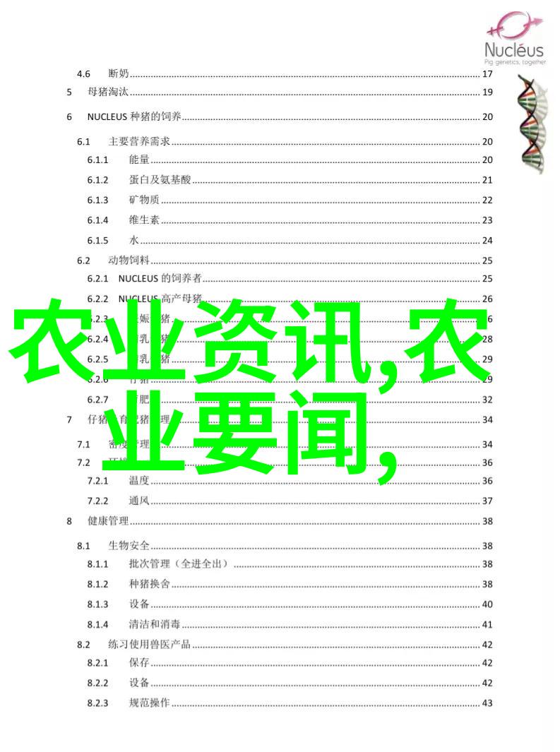 我的日常小工具超级方便的皮带输送机让物品运输不再累人