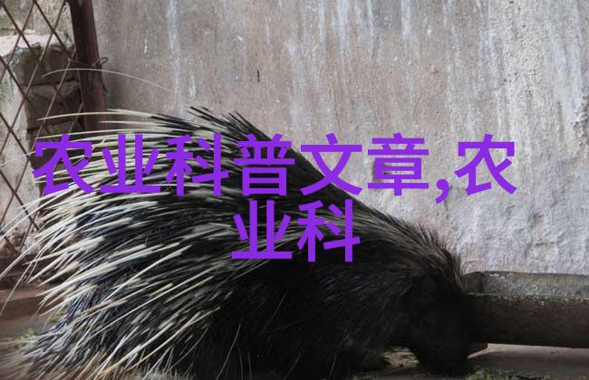 如何控制害虫和病虫害在园艺中使用环保方法