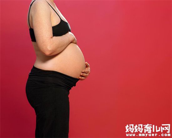 简单易种的水果亲手栽培的乐趣与收获