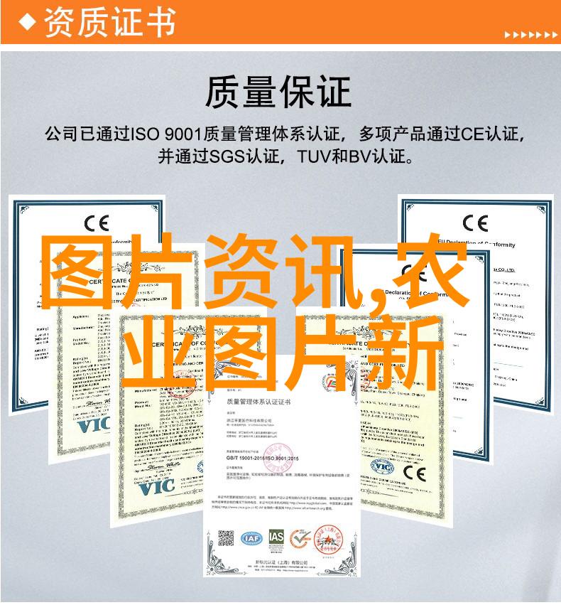 蜜蜂养殖技巧全解析从基础到高级的每个细节