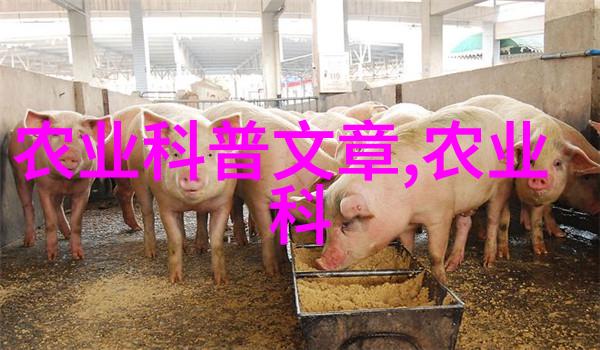 灵芝梦境在云端的秘密花园