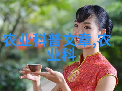 水土保持研究-防止土地侵蚀的技术与策略