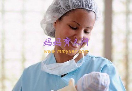 新时代蜂群管理精准定位与智能养护高效养蜂技术视频