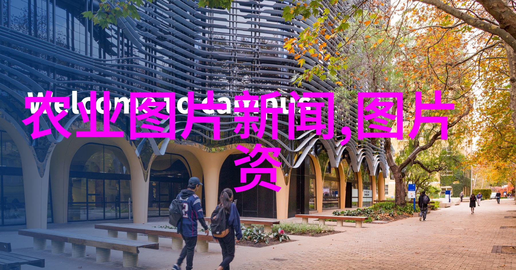 探索方正期货的成功之道行业领先者的策略与挑战