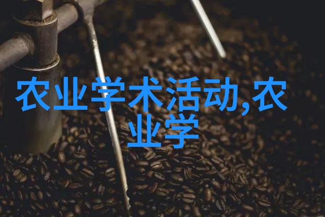 蜜蜂的品种有哪些 - 蜜蜂世界中的多样性与魅力
