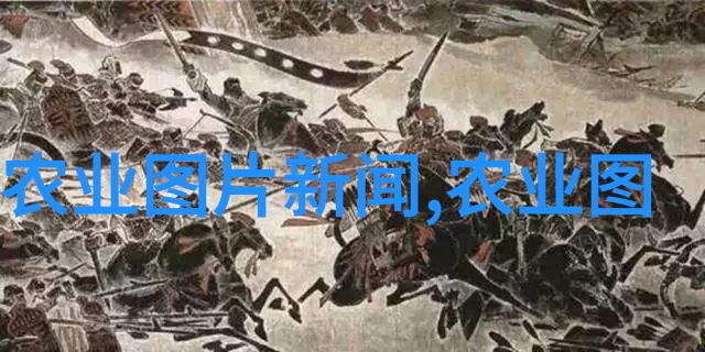选择对口的盆栽解锁阳台旺盛植物之谜