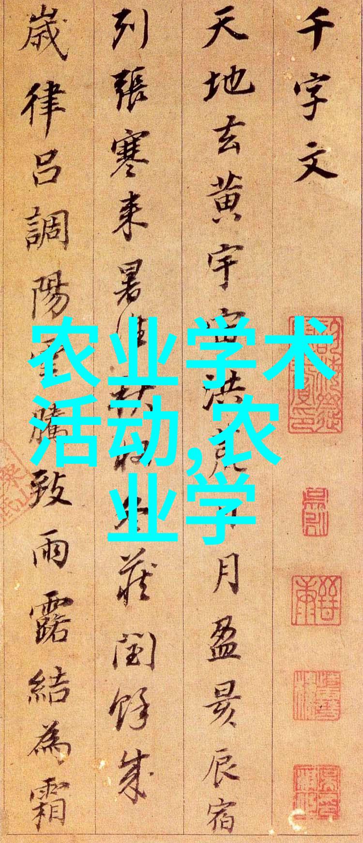 招募C1驾驶员300元一天工作机会高薪驾驶职位