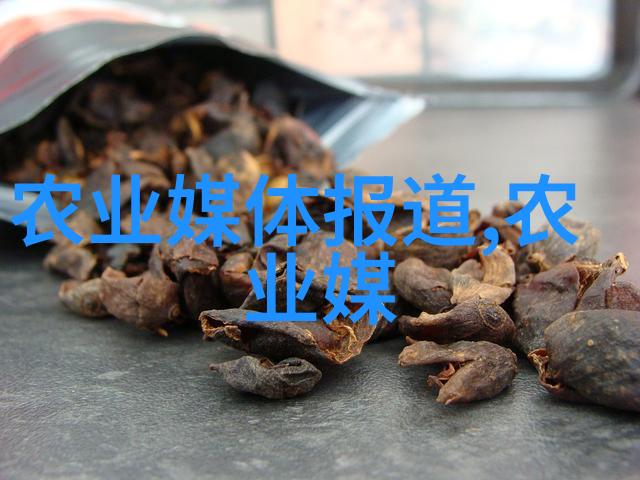 劳动合同法律完善进程