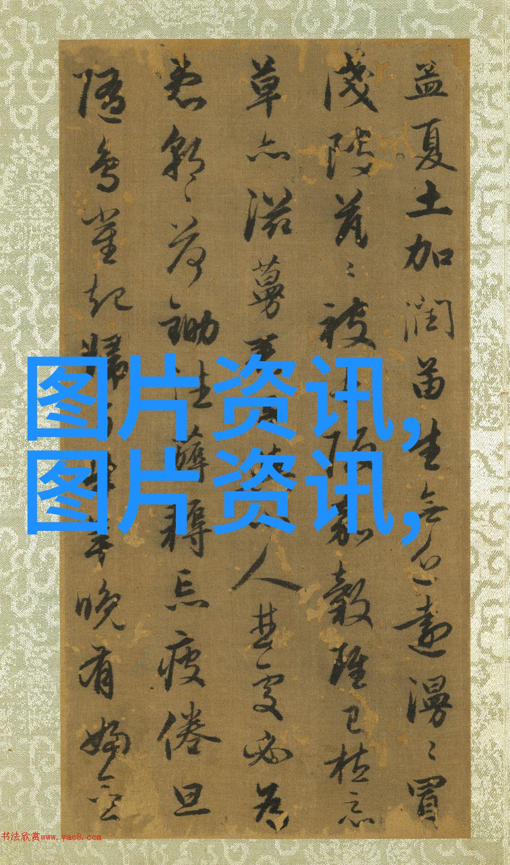 主题-滑子菇的奇妙世界探索它们的生态与美味用途