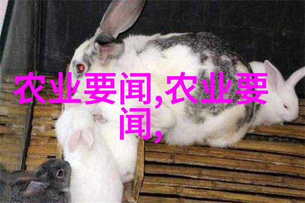 寻找药厂合作种植药材-绿色药膏探索与药厂共创的草本之旅