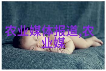 政策解读规定我来告诉你如何理解最新的政策变化