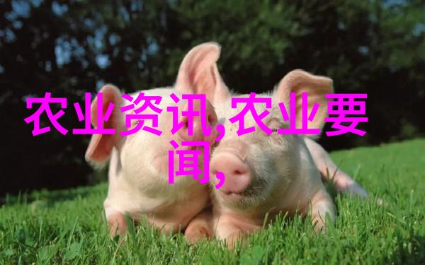 黄鳝养殖技术宝典精准养殖法则与高效管理技巧