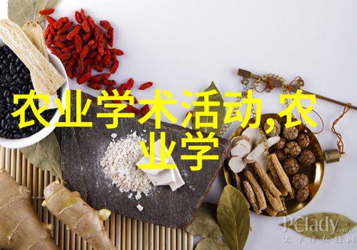 禽类养殖技术的新趋势与实用应用