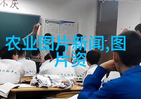 如果遇到问题如何与中国蔬菜网客服联系和反馈使用体验