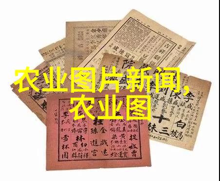 肉牛养殖技术高效饲养管理与现代化设备应用