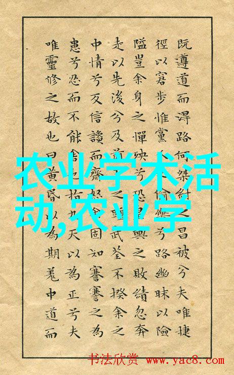 丰收与荒漠三农销售平台的逆袭故事