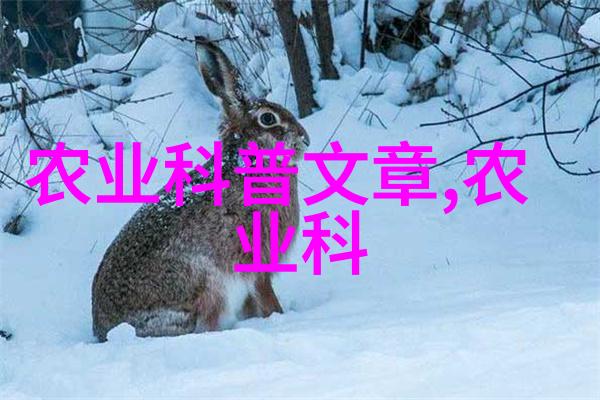 星恋宠姬 - 星光之下宠物与爱的奇遇