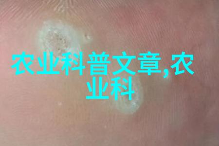 岩石的力量液压破碎锤的无声霸道