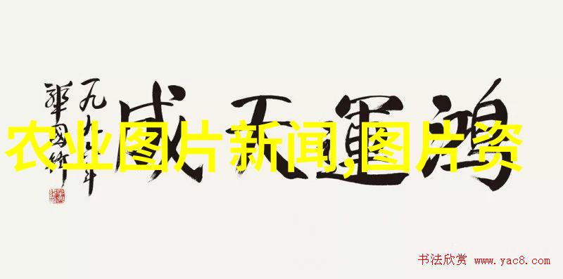 数字媒体应用技术专升本专业我来点逆袭从小白到专升本的日子