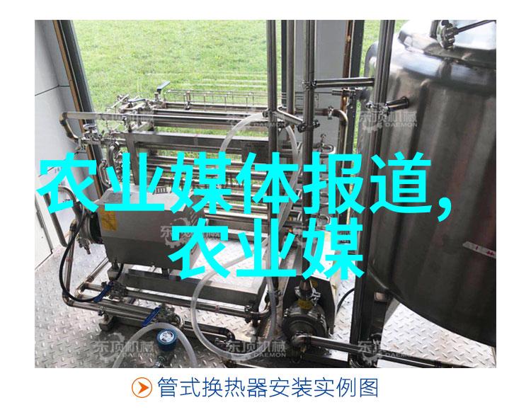四川蔬菜种植温室大棚技术我来教你如何在家里也能种出超级香甜的蔬菜