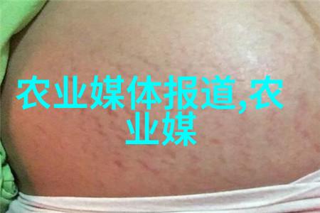 冬日蔬菜之恋冰雪中的绿意盎然