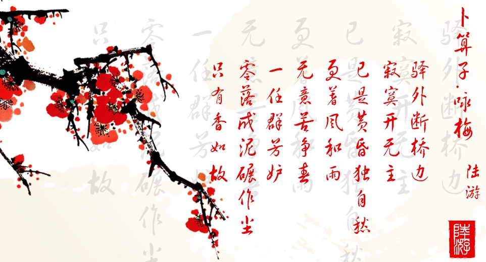 家里养什么花镇宅又转运我是怎么把房子变成花海的