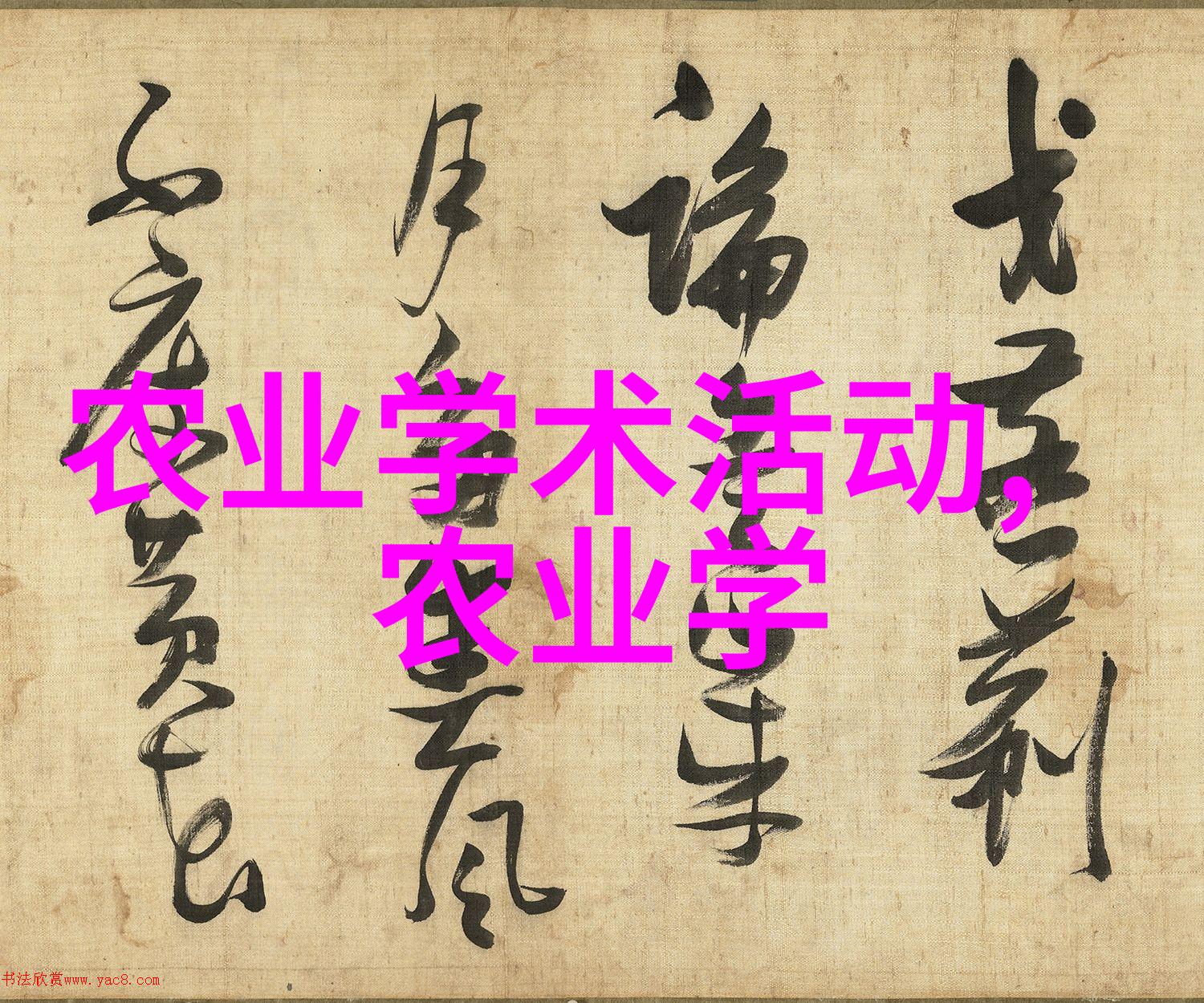 生命之匙多样性的钥匙走近那些濒临绝灭的大自然艺术品