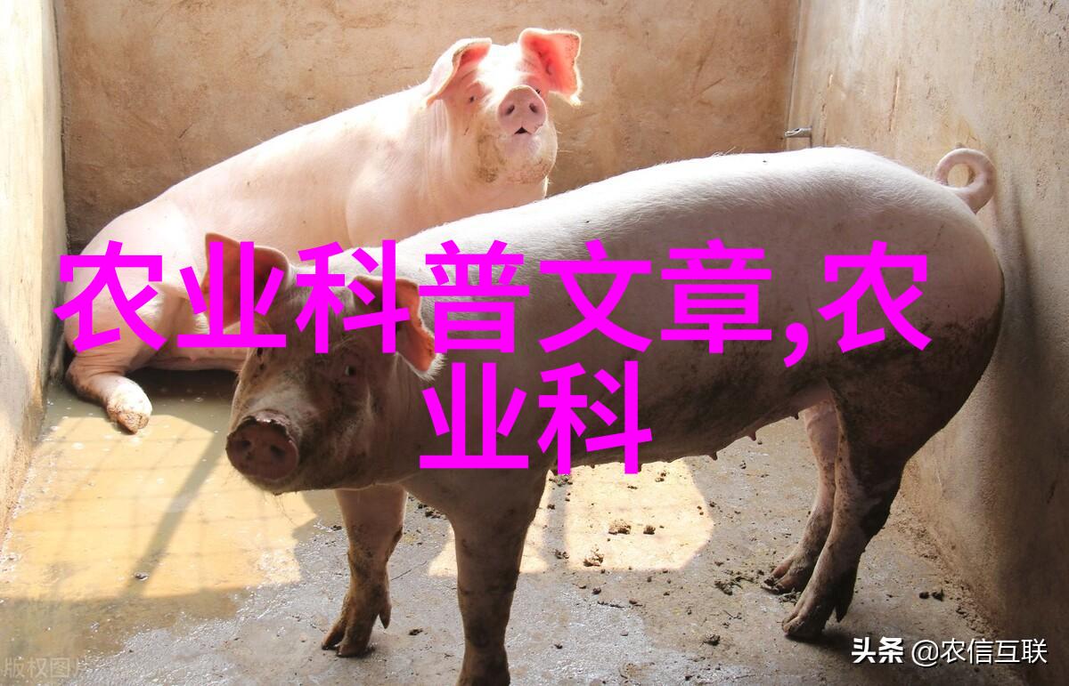 中国用茶的起源在哪里