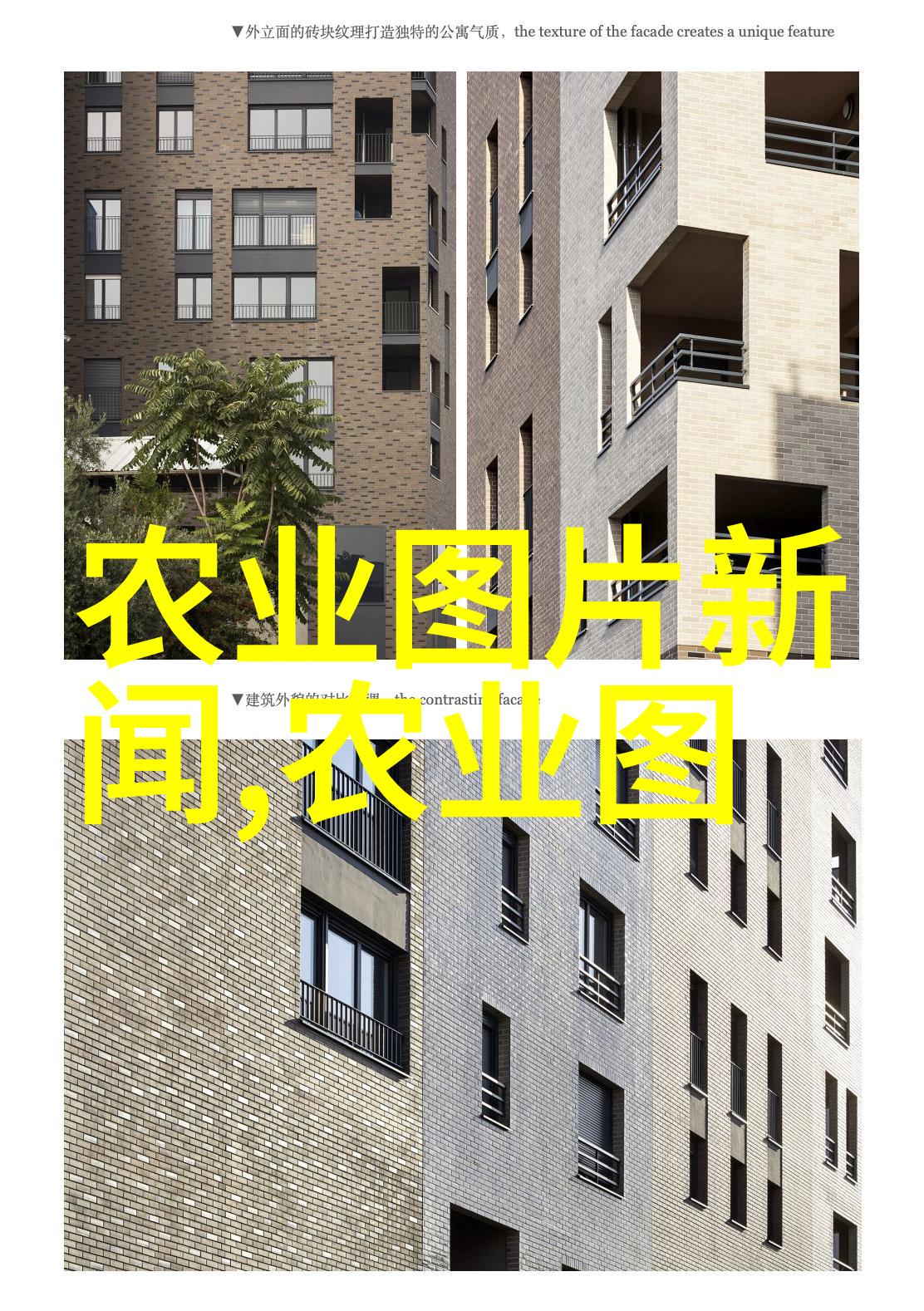 各类花卉养殖技术咱们来把握这朵花的秘密
