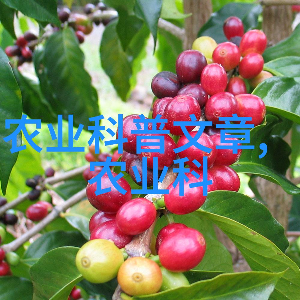 主题我来告诉你一个超级方便的家用秸秆打包机