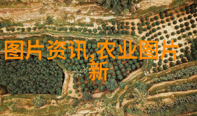 南江黄羊养殖技术守护野生色彩的智慧与实践