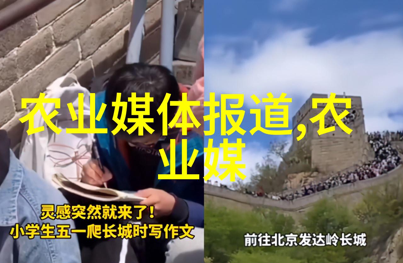 破冰先锋日本韩国与台湾对茶文化的融合