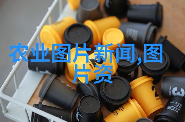 属相福运揭秘各种幸运花的选择与意义