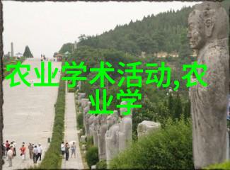 夏日养蜂之谜解锁蜜蜂王国的秘密与技巧